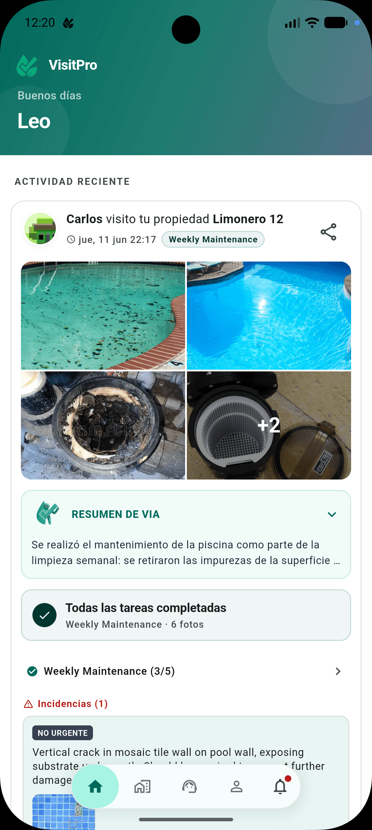Feed del cliente